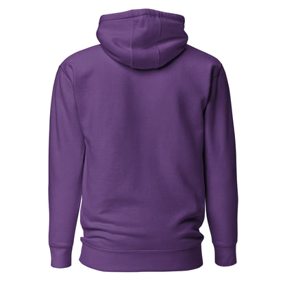 San Francisco Chinatown Lion Graphic Hoodie – Unisex Pullover Sweatshirt - TheWhyNotShop